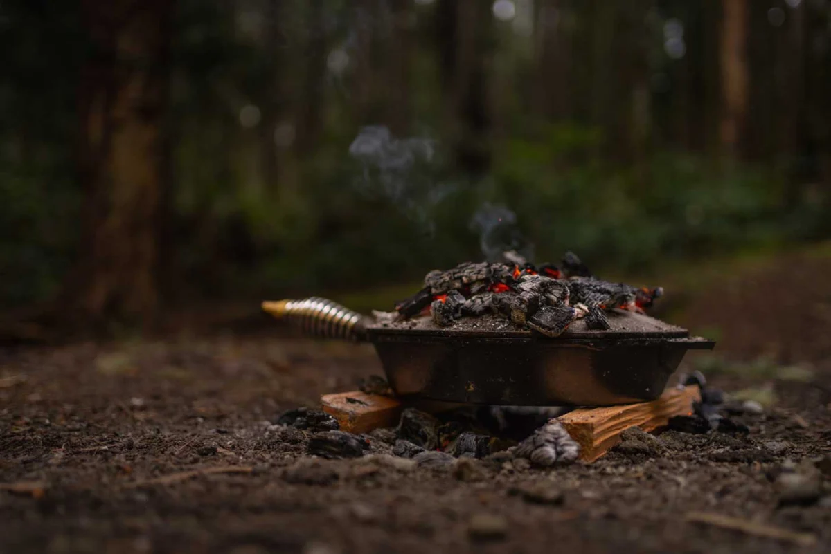 Beyond the Hot Dog: Elevating the Art of the Campfire Kitchen