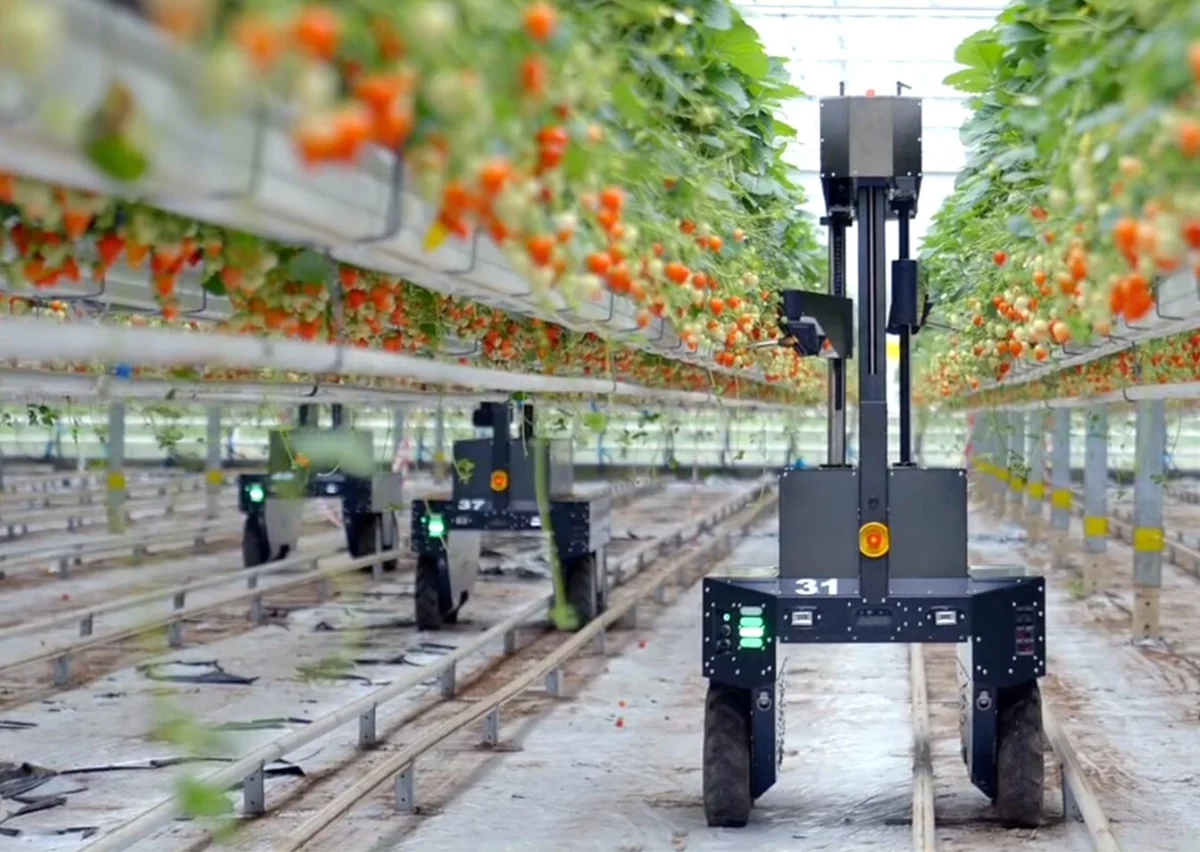 Beyond the Hype: How Oishii Cracked the Vertical Farming Code to Secure $150 Million