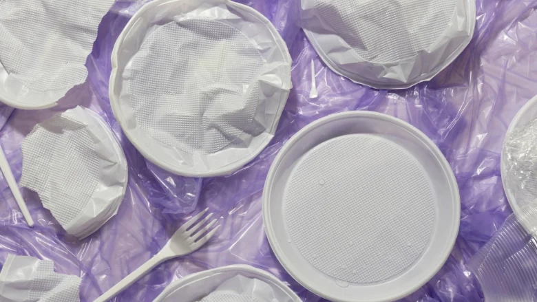 Navigating the Safety Paradox: The Global Challenge of Sustainable Food Packaging