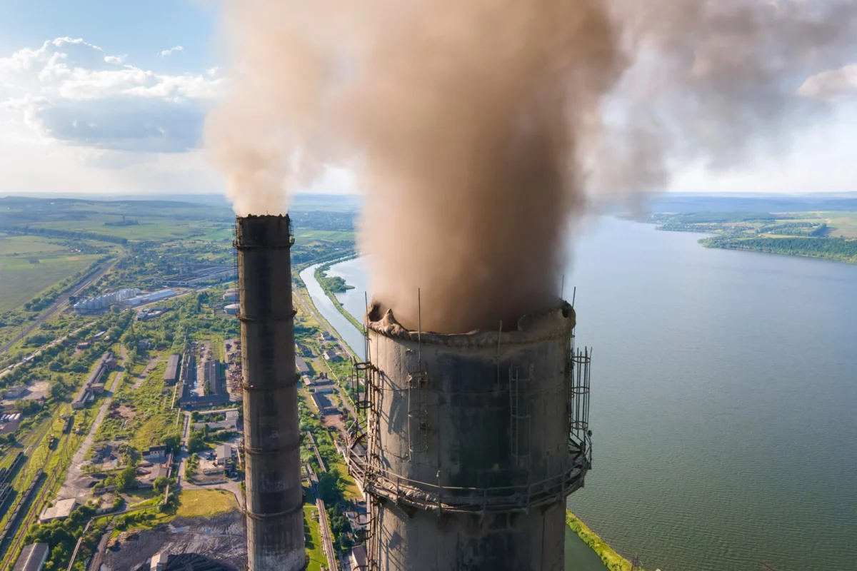 The ESG Index Advantage: How Sustainability Performance Drives Capital Market Success