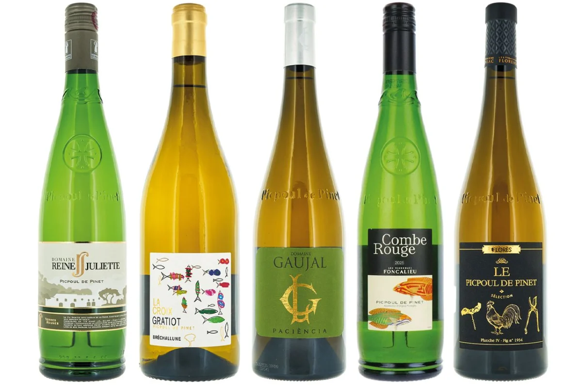 The Evolution of Picpoul de Pinet: Beyond the Pub Classic
