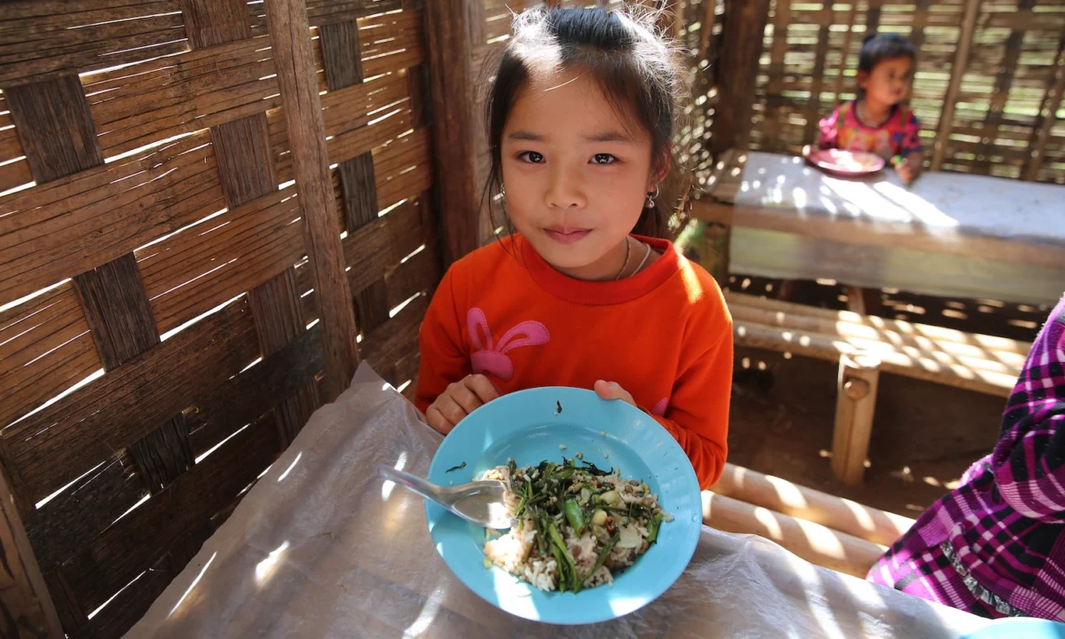 The Global Lunchbox Revolution: How School Meal Programs are Redefining the Future of Food