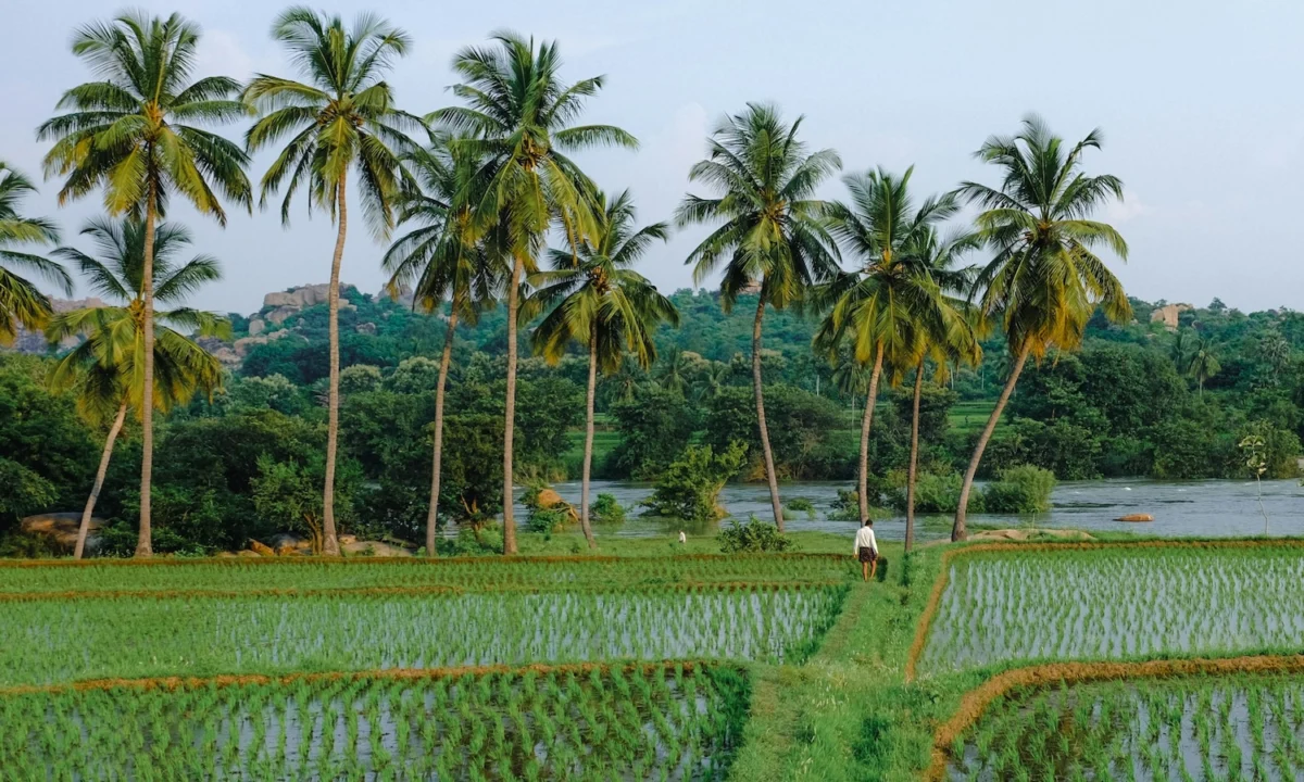 The State of Global Food Systems: Resilience, Innovation, and Institutional Turbulence