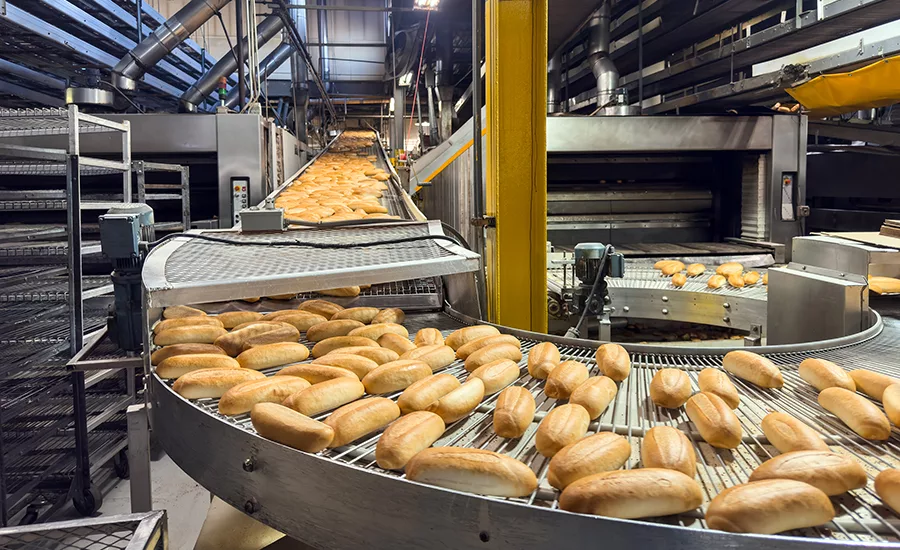 Navigating the New Normal: Processing Equipment Market Shows Resilience in 2026 State of Industry Report