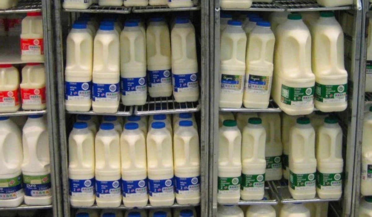The Fragility of Intensity: Why the Rise of ‘Mega Dairies’ Signals a Crisis for UK Food Security