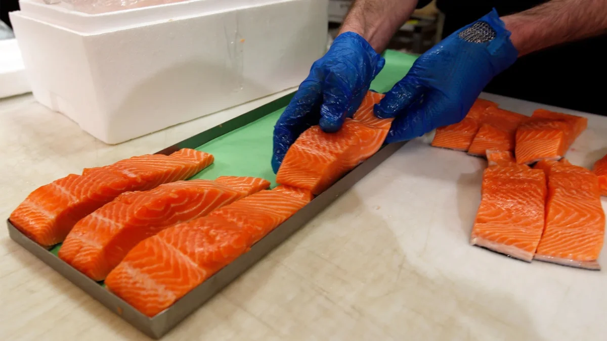 The Pulse of the Food System: Navigating Regulatory Shifts, Labor Unrest, and Financing Gaps