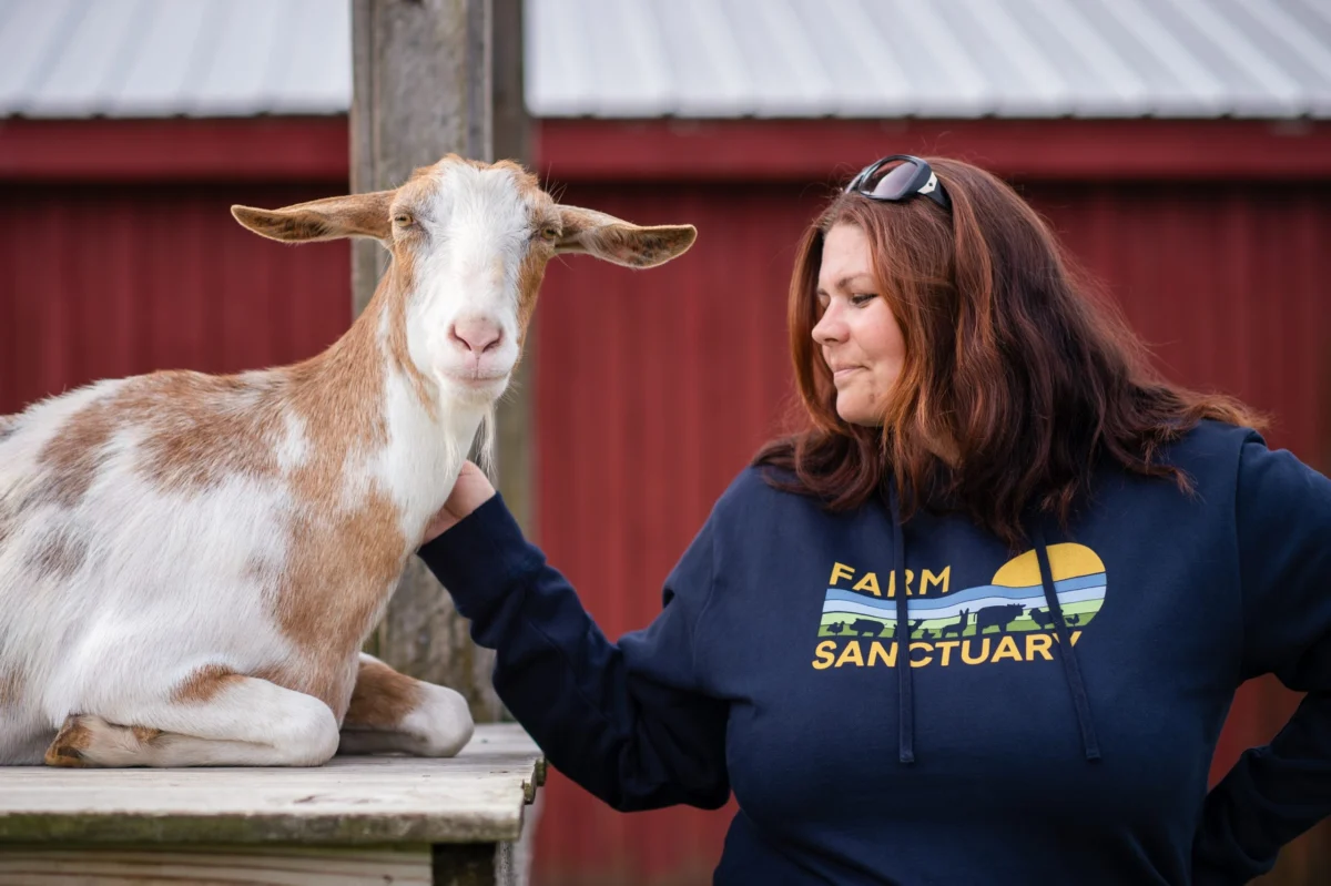 Four Decades of Compassion: Farm Sanctuary Prepares for Historic 40th Anniversary "Hoedown"
