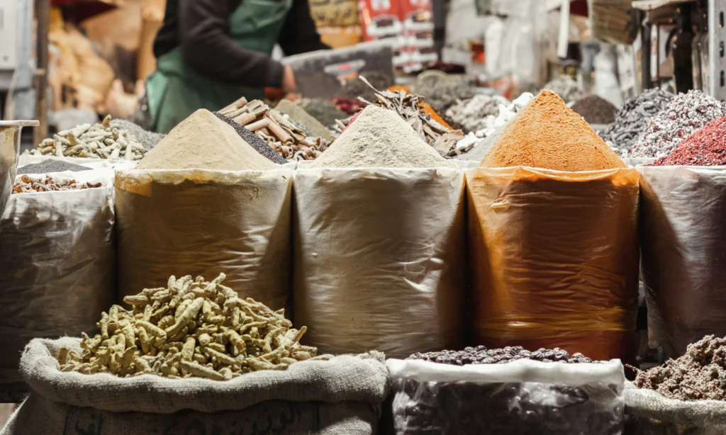 Legal Stewardship and the Future of Food: The Multidisciplinary Path of Jessica Levy