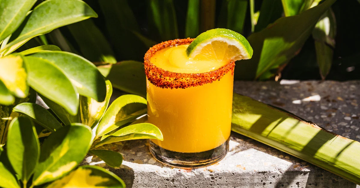 The Art of the Chill: Mastering the Modern Blended Cocktail