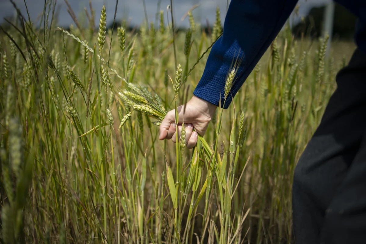 Beyond the Principles: Why Outcomes Are the True North of Regenerative Agriculture
