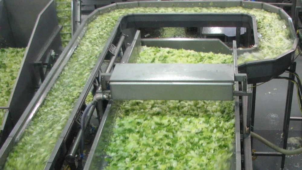 Consumer Reports Demands Accountability: FDA Under Fire Following Deadly Cyclospora Outbreak
