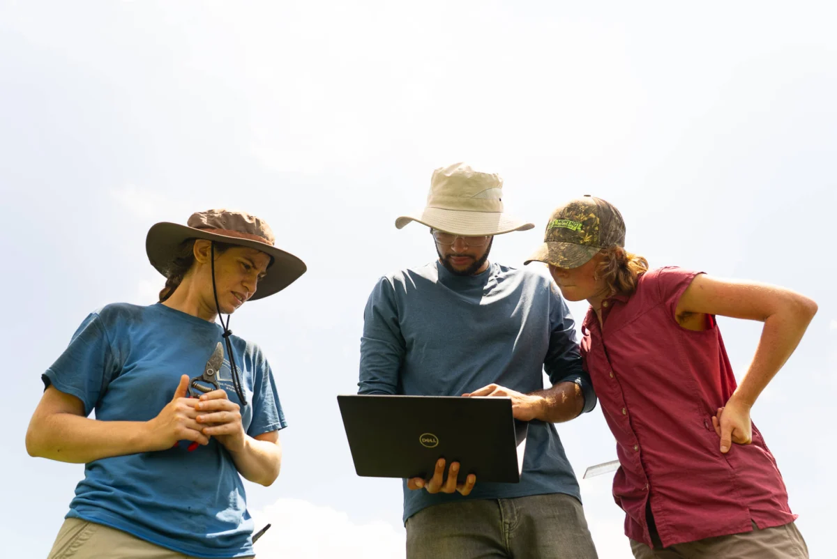 Cultivating Knowledge: How Rodale Institute is Revolutionizing Regenerative Agriculture Education