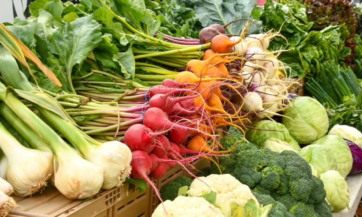 Cultivating Resilience: How FRESHFARM is Bridging the Gap in the Mid-Atlantic Food System