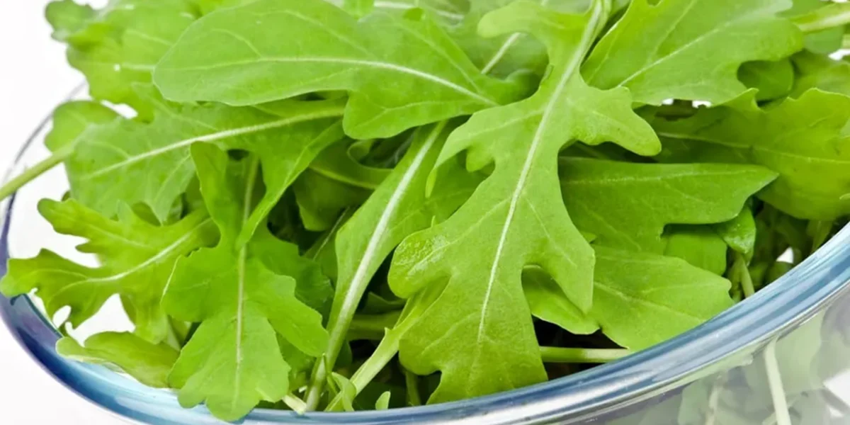 Health Authorities Investigate Salmonella Napoli Outbreak Linked to Italian Arugula in Sweden