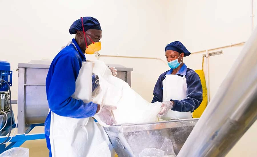 Navigating the Dry Zone: New Research Uncovers Critical Gaps in Low-Moisture Food Safety