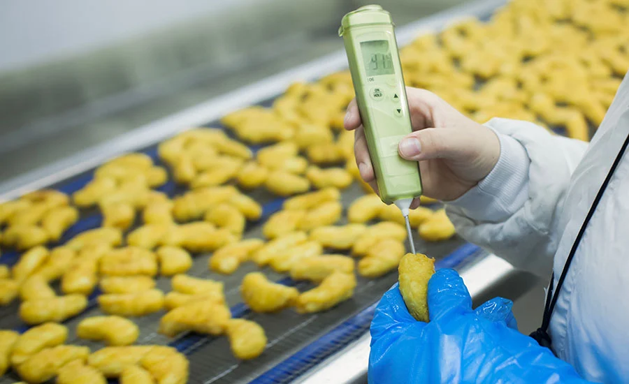 Precision in the Cold Chain: Mastering Thermometer Validation for Food Safety