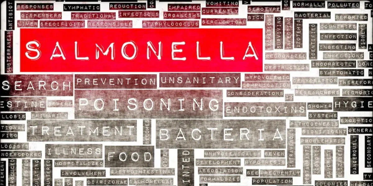 Recurrent Salmonella Outbreak Linked to Italian Tomatoes Continues to Plague Europe