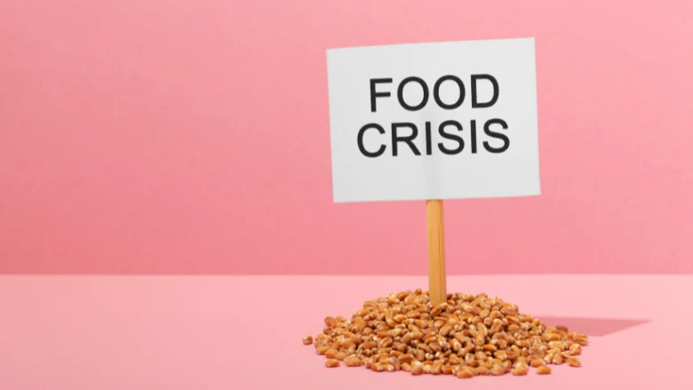 Strengthening Global Resilience: WHO and FAO Lead Major Initiative to Bolster Food Safety Emergency Preparedness in Africa and the Middle East