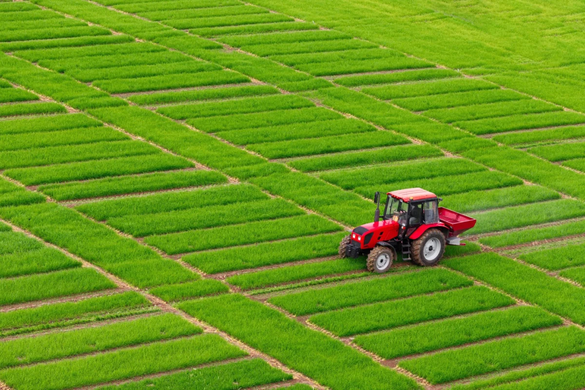 The $2.6 Trillion Paradox: Why Global Business is Demanding an End to Harmful Subsidies