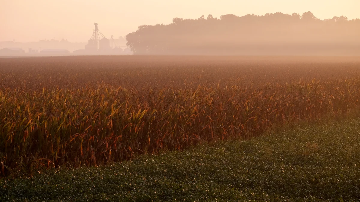 The Carbon Gold Rush: Why Small-Town America Is Fighting the Underground Climate Experiment