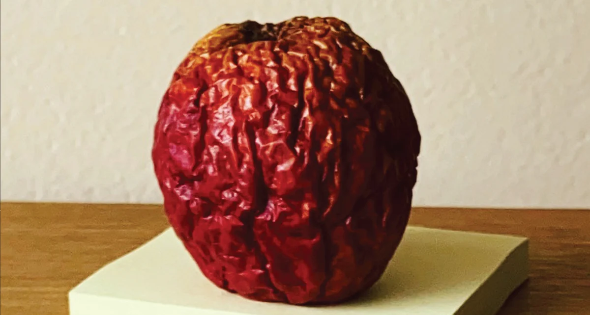 The Recipe as Knowledge: Gastronomica Explores the Fragility and Future of Culinary Transmission