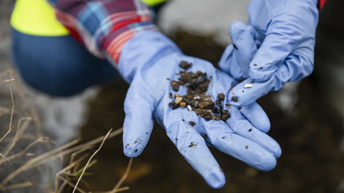 The Trojan Horse Beneath Our Feet: How Microplastics Are Rewriting Soil Health